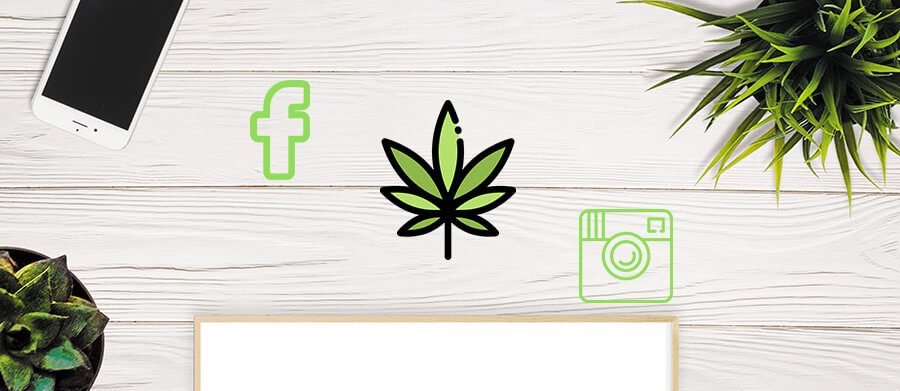 social media for cannabis businesses